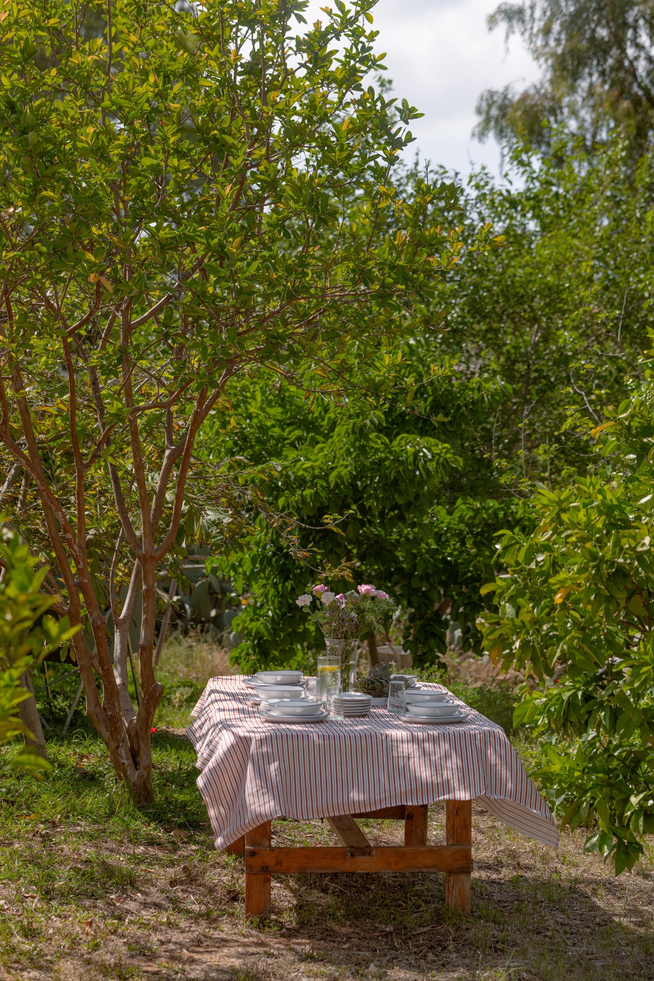 Red & White tablecloth